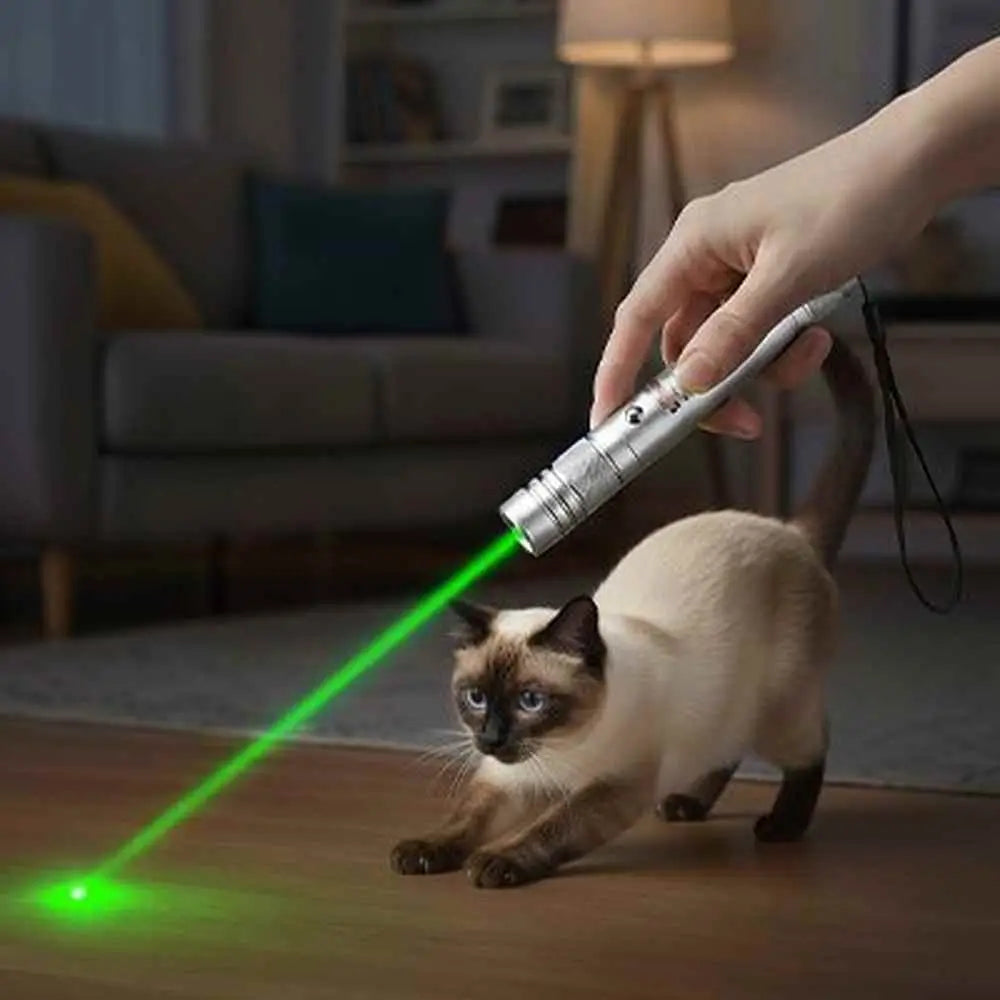 Stylo laser pour chat, faisceau vert, corps argenté tenu par une main.
