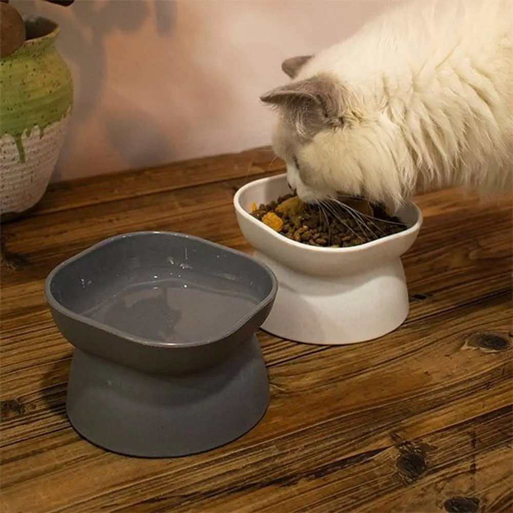 Gamelles pour chat : bol blanc rempli de croquettes et bol gris foncé devant