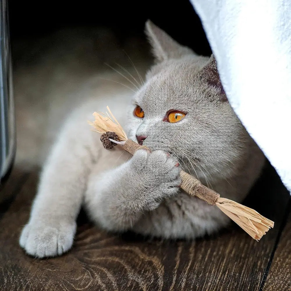 Bâton à mâcher PurrStick™ en corde beige avec pompons, dans la bouche d’un chat.