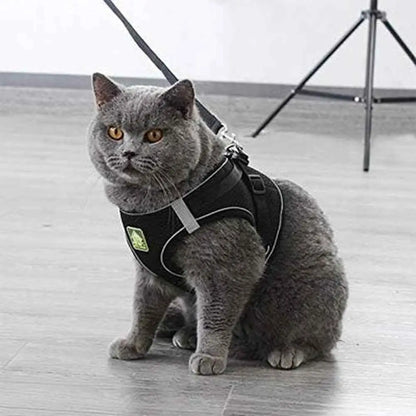 Harnais pour chat noir, sangle réglable et attache avec anneau, tissu respirant