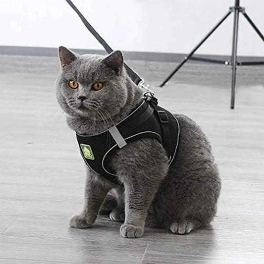 Harnais pour chat noir, sangle réglable et attache avec anneau, tissu respirant