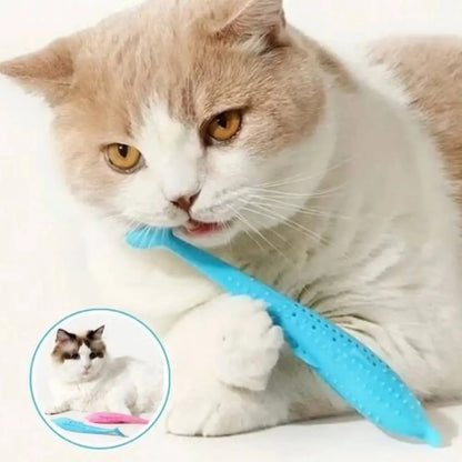 Jouet pour chat Instinct+ : poisson bleu près de la gueule du chat