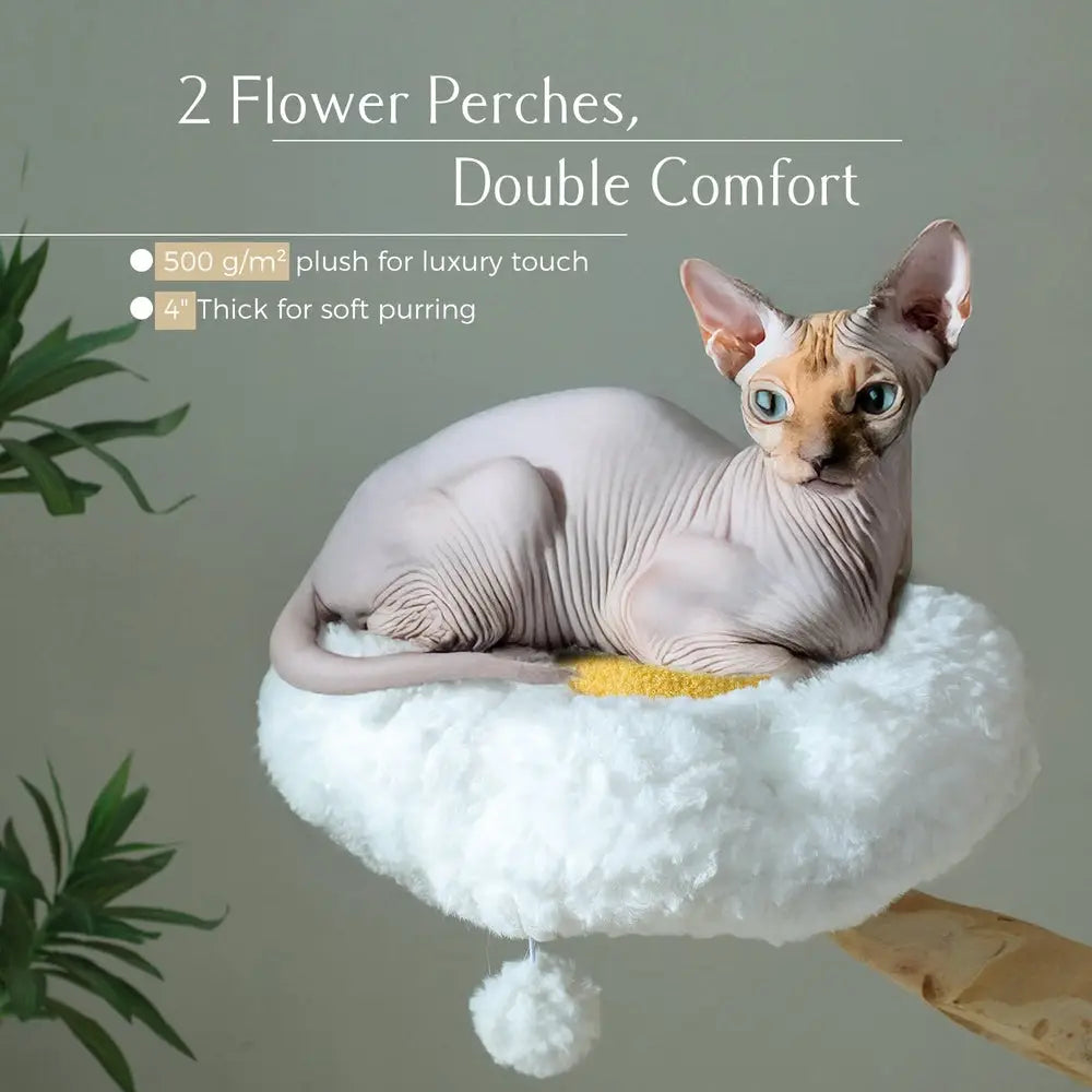 Arbre à chat moelleux blanc avec perchoir circulaire en forme de fleur