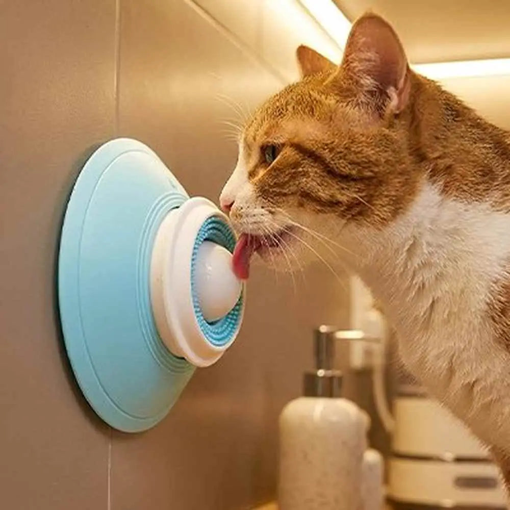 Gamelle anti-glouton chat bleu clair, couvercle blanc, chat mange avec la gamelle.