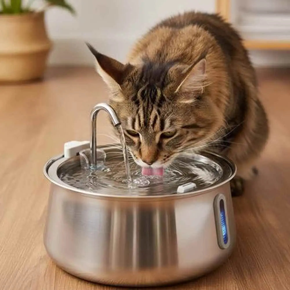 Fontaine à eau pour chat en inox 304, cuvette ronde avec jet en cours