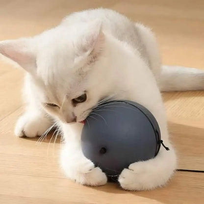 Balle motorisée intelligente pour chat : balle grise sur le sol, chat blanc à côté