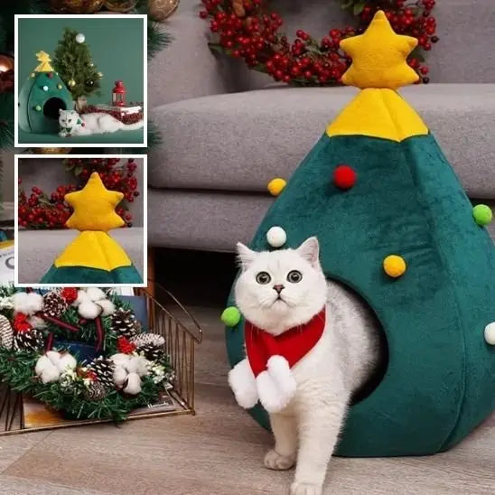 Maison pour chat sapin verte, étoile jaune au sommet, chat blanc près de l’ouverture.