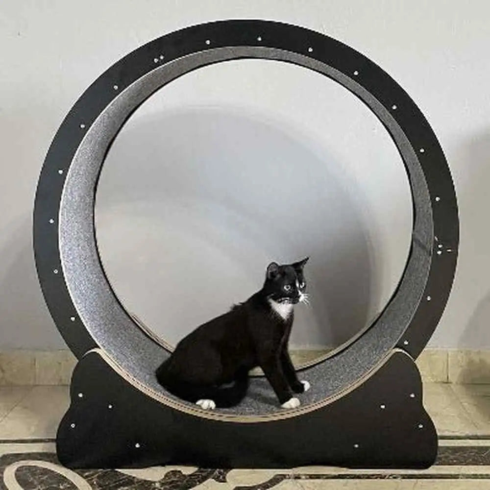 Roue pour chat KittyTread™ noire, jante grise, chat noir à l’intérieur