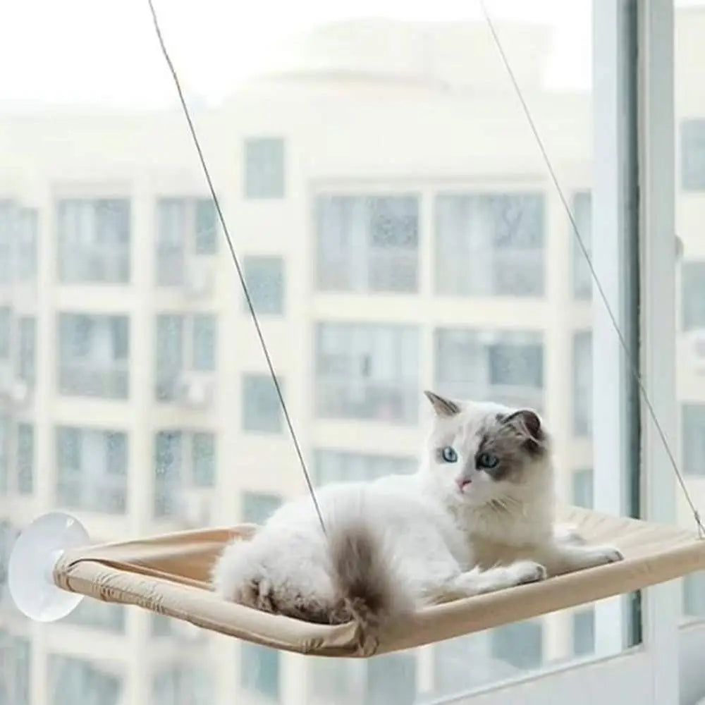 Hamac pour chat beige, plateforme en tissu, chat blanc tigré allongé