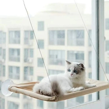 Hamac pour chat beige, plateforme en tissu, chat blanc tigré allongé