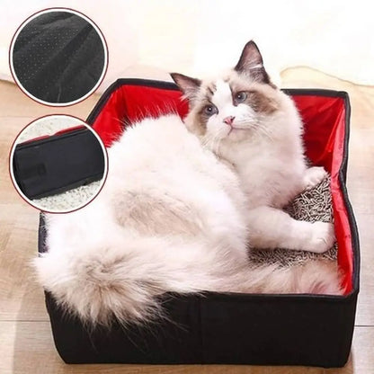 Bac à litière pour chat noir avec revêtement rouge, chat blanc-gris à l’intérieur.