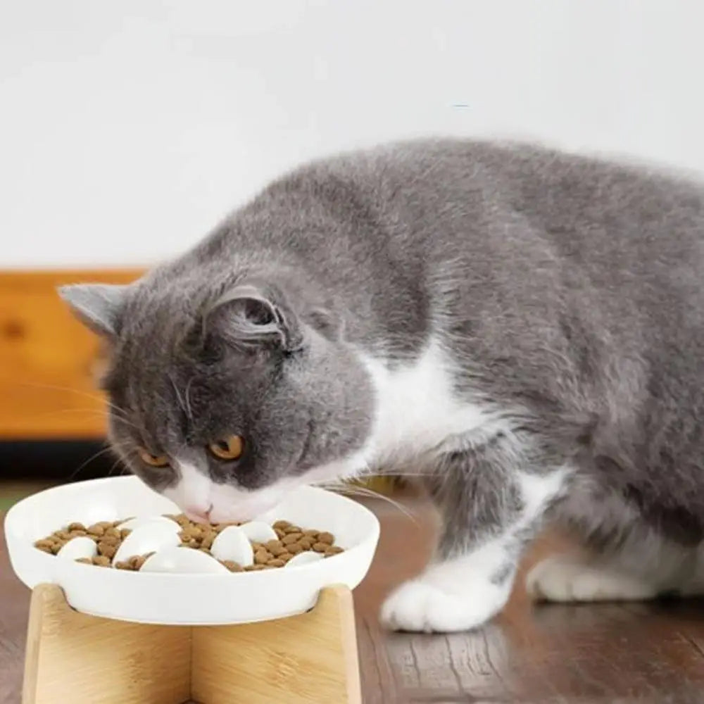 Gamelle anti-glouton pour chat DigestPro : bol blanc sur socle en bois, croquettes