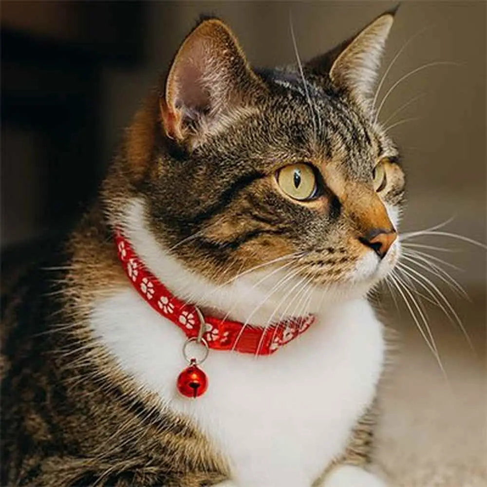 Collier pour chat rouge à motif pattes, fermoir réglable et clochette ronde rouge