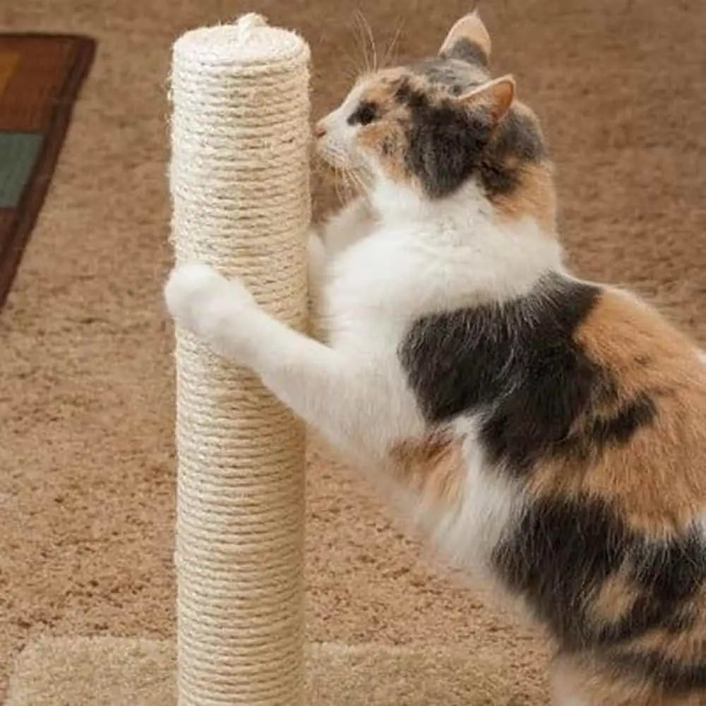 Corde naturelle en sisal beige pour arbre à chat, enroulée sur poteau, griffe visible.