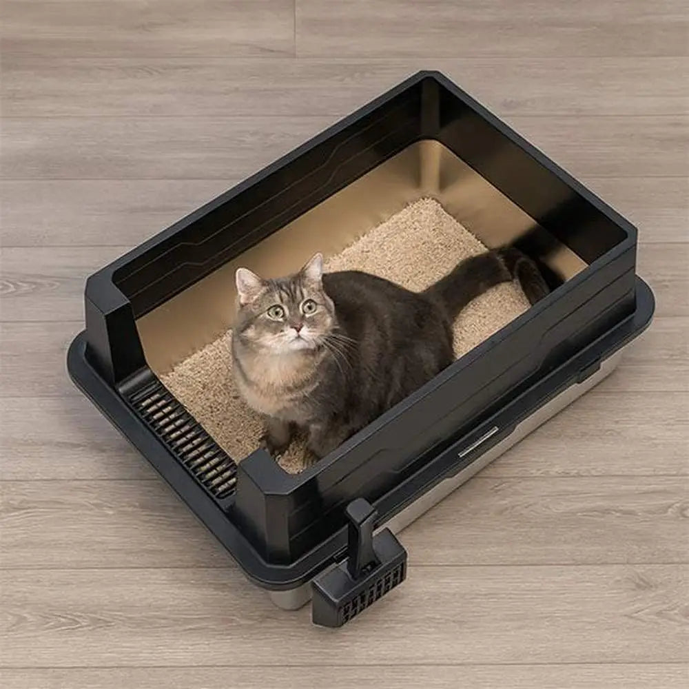 Bac à litière pour chat CleanControl, intérieur avec tapis beige et parois noires