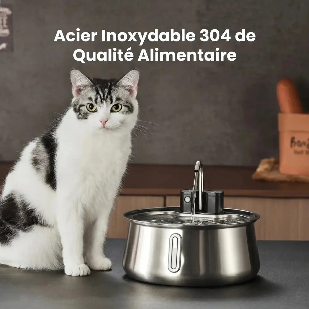 Fontaine à eau pour chat en inox, bol circulaire avec robinet, chat assis à côté