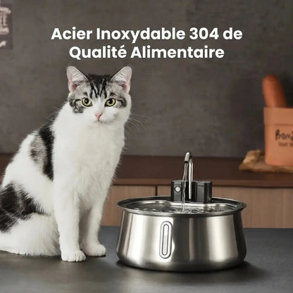 Fontaine à eau pour chat en inox, bol circulaire avec robinet, chat assis à côté