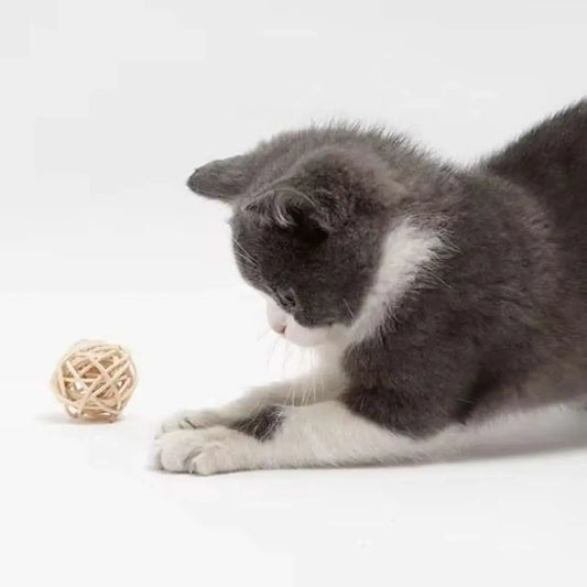 Jouet pour chat avec balle tressée beige en corde, pour lancer et attraper.