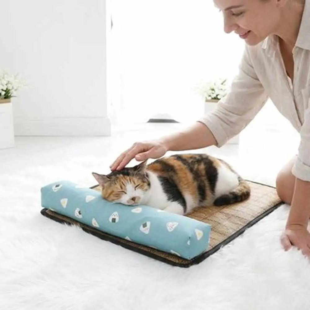 Tapis rafraîchissant pour chat en tissu brun avec bords noirs et coussin bleu, chat