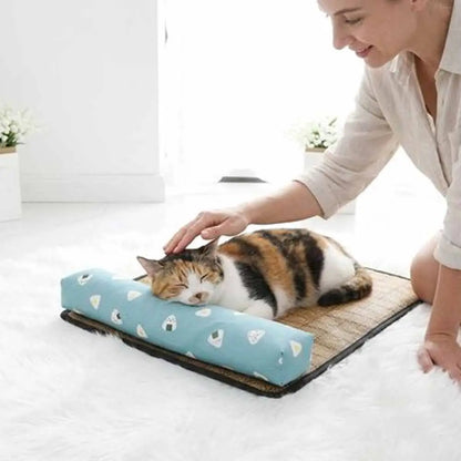 Tapis rafraîchissant pour chat en tissu brun avec bords noirs et coussin bleu, chat