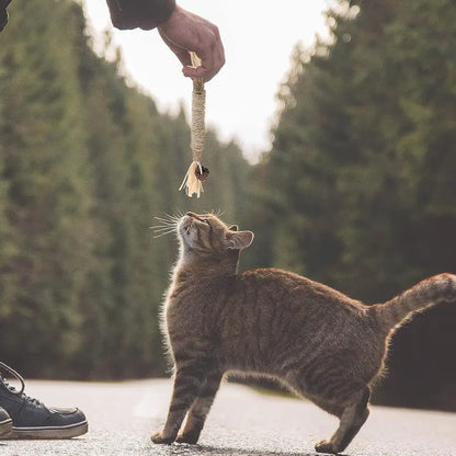Bâton à mâcher PurrStick™ en corde beige avec pompons, joué par un chat dehors.