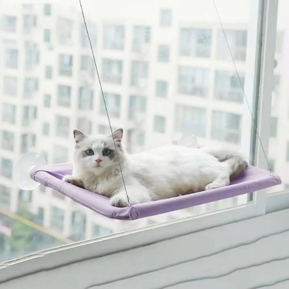 Hamac suspendu pour chat violet, coussin moelleux, chat blanc allongé