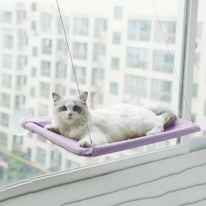 Hamac suspendu pour chat violet, coussin moelleux, chat blanc allongé