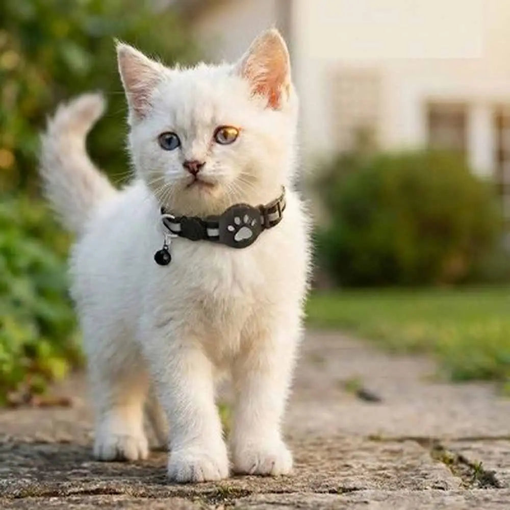 Collier GPS pour chat noir motif patte et pendentif, porté par le chat