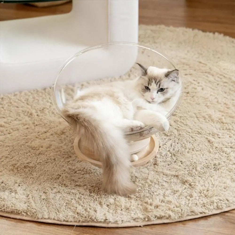Lit pour chat à dôme transparent, chat blanc allongé, coussin du lit bien visible.
