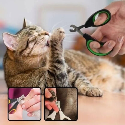 Coupe-griffes pour chat vert, en main sur un chat pendant la coupe des griffes