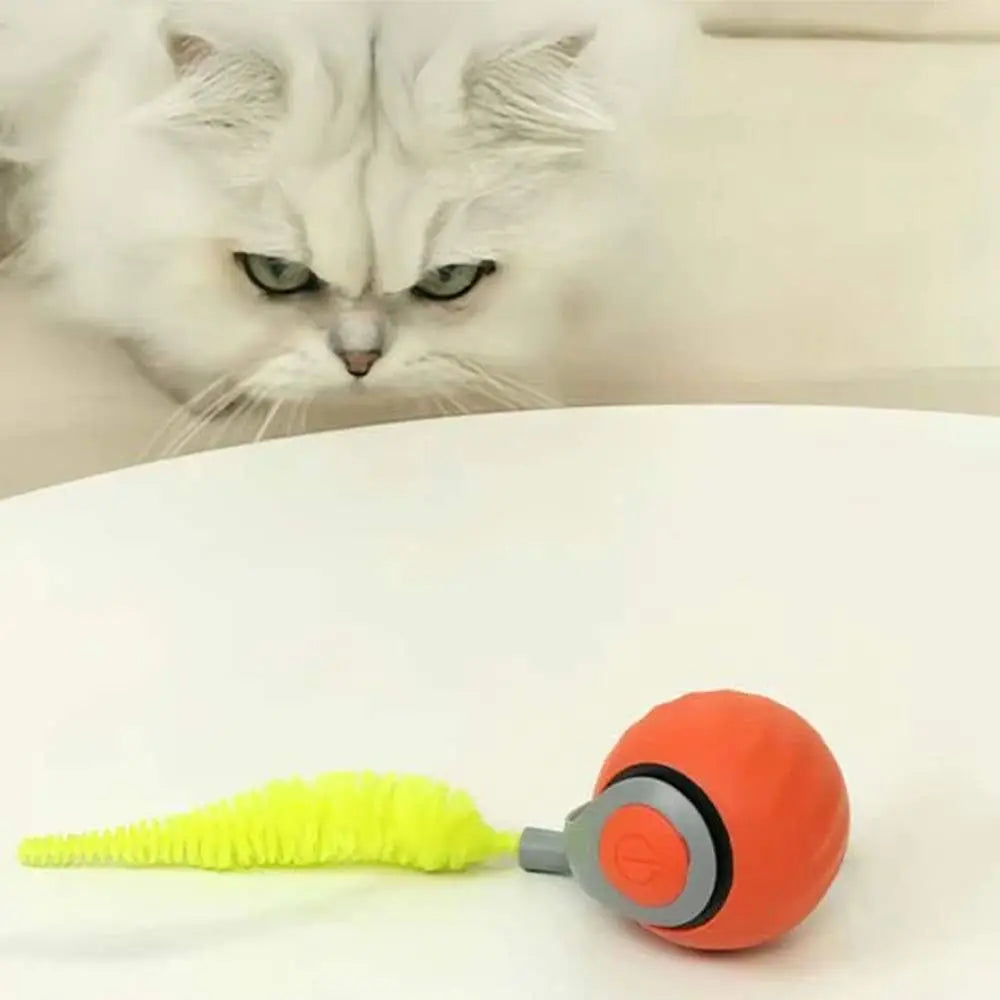 Jouet interactif pour chat: balle orange avec tête grise et brosse verte