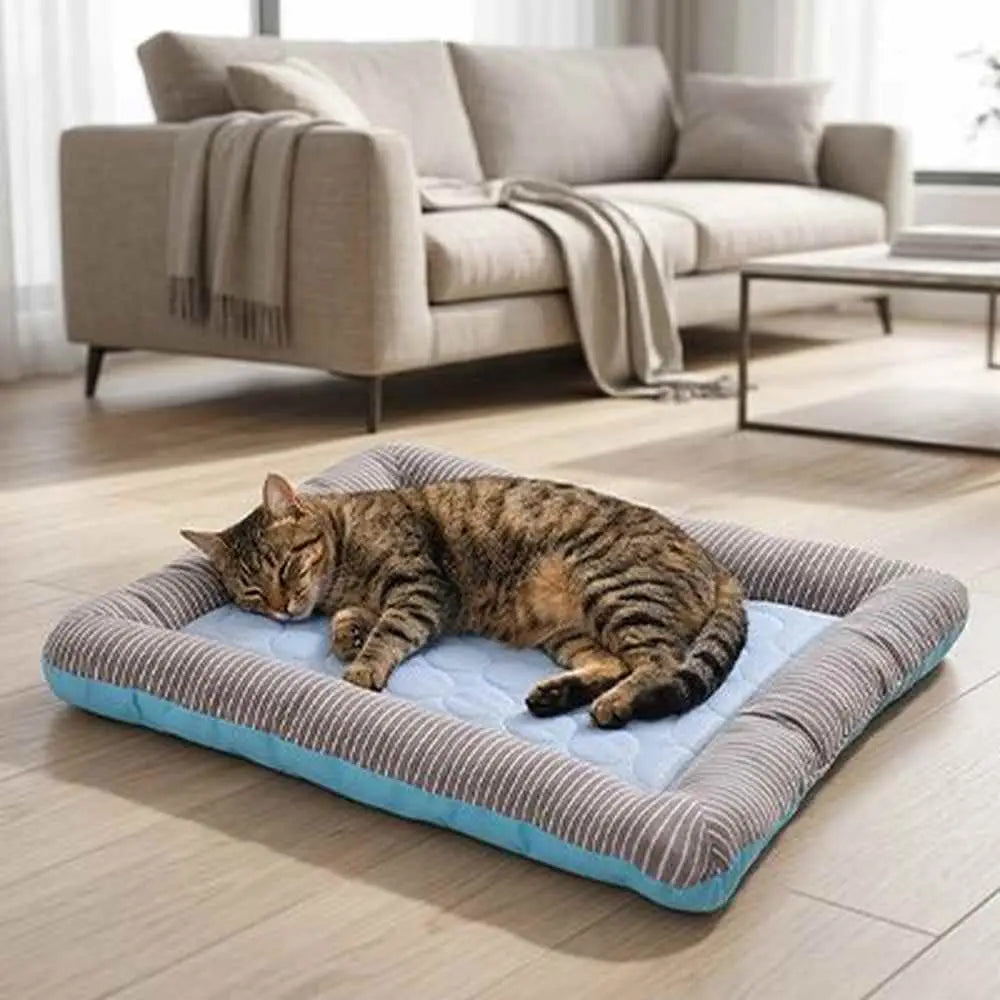 Tapis rafraîchissant pour chat bleu rectangulaire, bord côtelé gris, surface claire à motifs