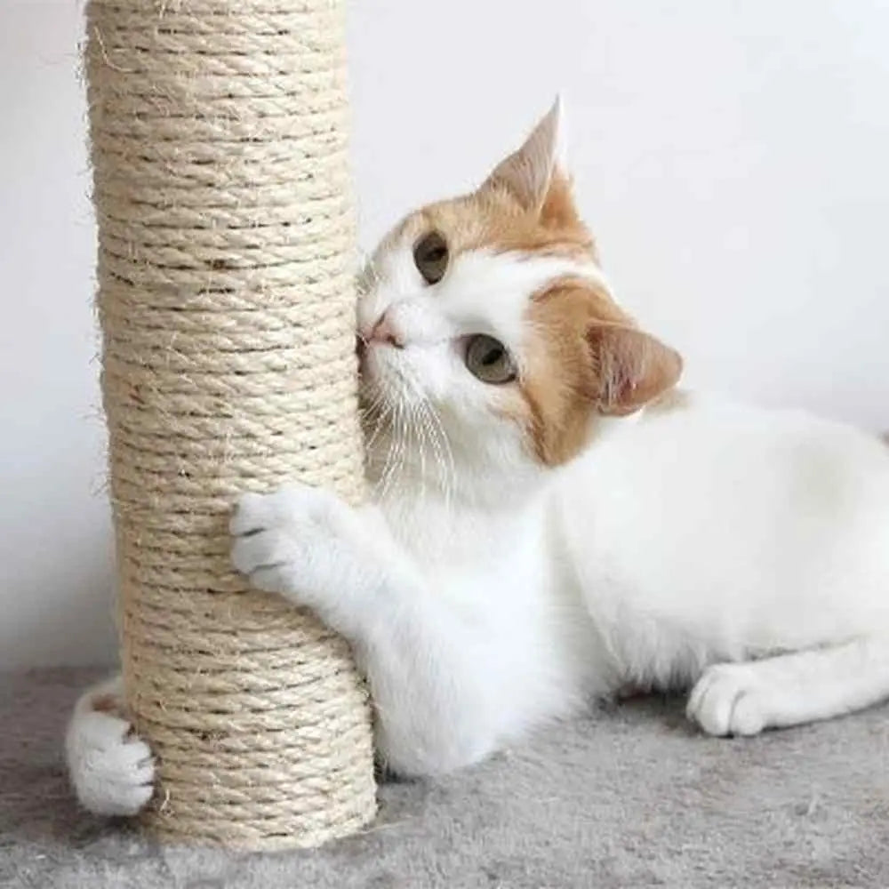 Corde naturelle en sisal beige pour arbre à chat, enroulée autour d’un poteau à griffer.