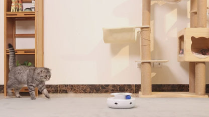 Jouet chat interactif | ChassePlay