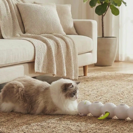 jouet-chat-interactif