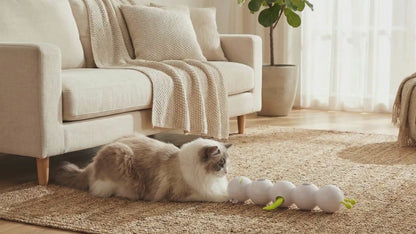 jouet-chat-interactif