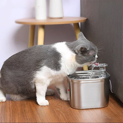 Fontaine a eau chat | Prevention Urinaire