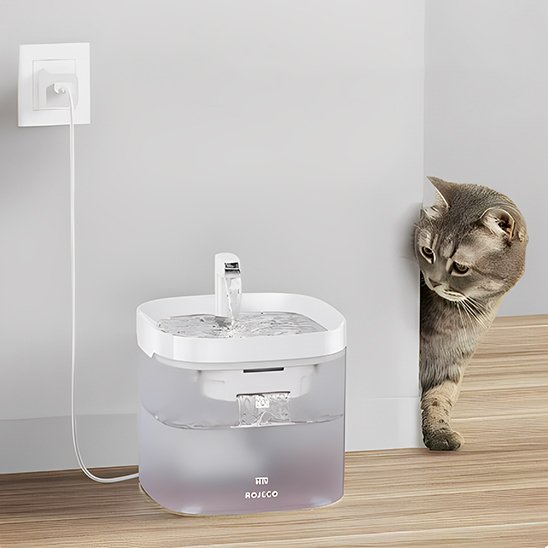 Fontaine à eau chat | Florale