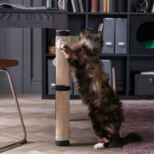 Griffoir pour chat design | Félin Confort - Universduchat