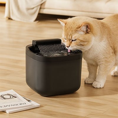 Fontaine eau chat | Hydro-Vital