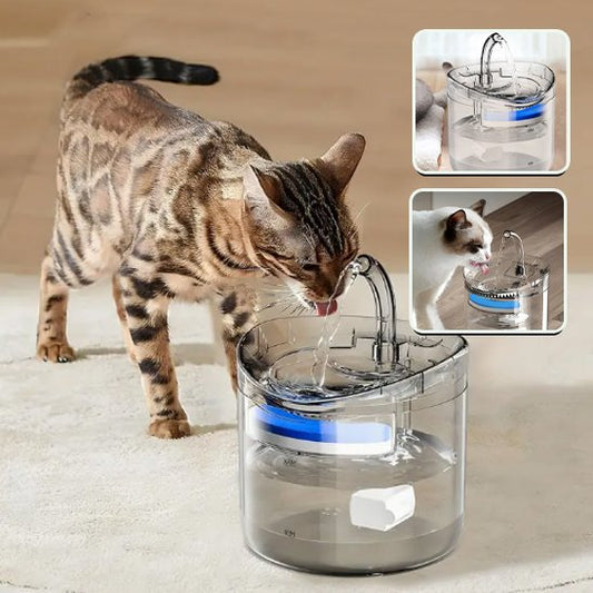 Fontaine a eau chat | AutoFlow