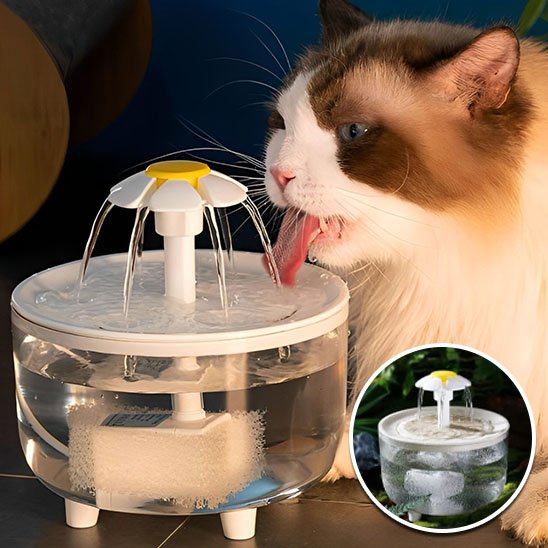 Fontaine à eau chat | Florale