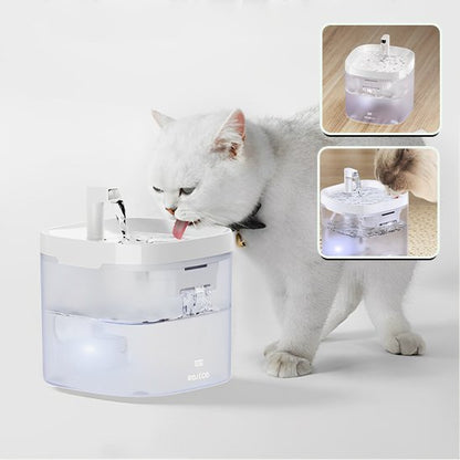 Fontaine à eau chat | Florale