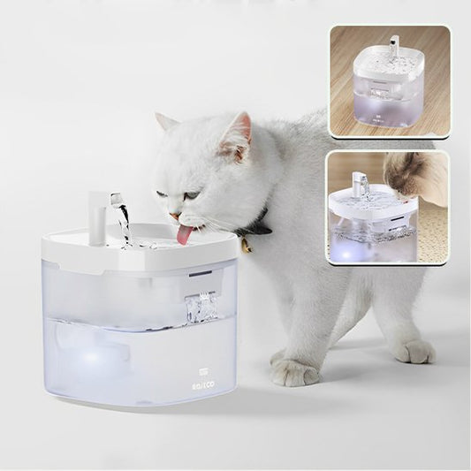 Fontaine à eau chat | Florale