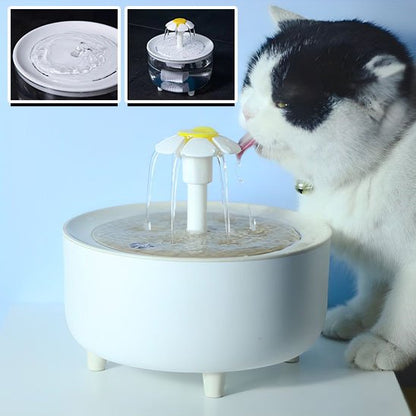 Fontaine à eau chat | Florale