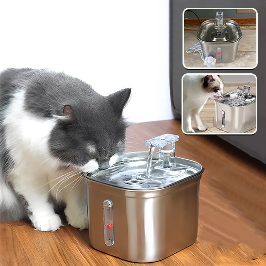 Fontaine a eau chat | Prevention Urinaire