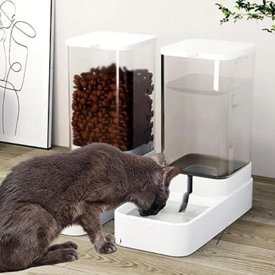 Distributeur de croquettes pour chat | FreshFeeder