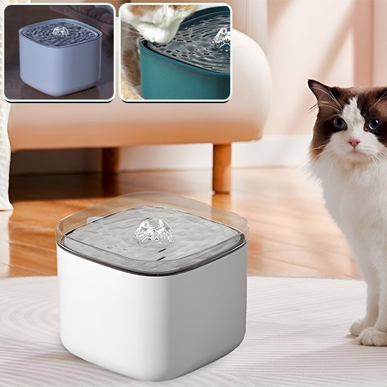 Fontaine à eau chat | PurFlow