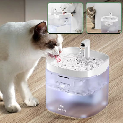 Fontaine à eau chat | Florale
