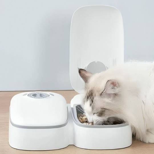 Distributeur automatique de croquettes pour chat | PetFeeder minuteur
